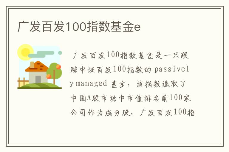 广发百发100指数基金e