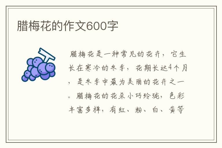 腊梅花的作文600字