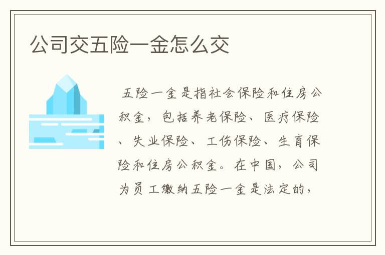 公司交五险一金怎么交