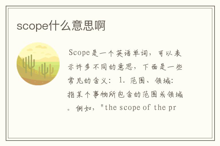 scope什么意思啊