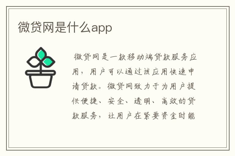 微贷网是什么app