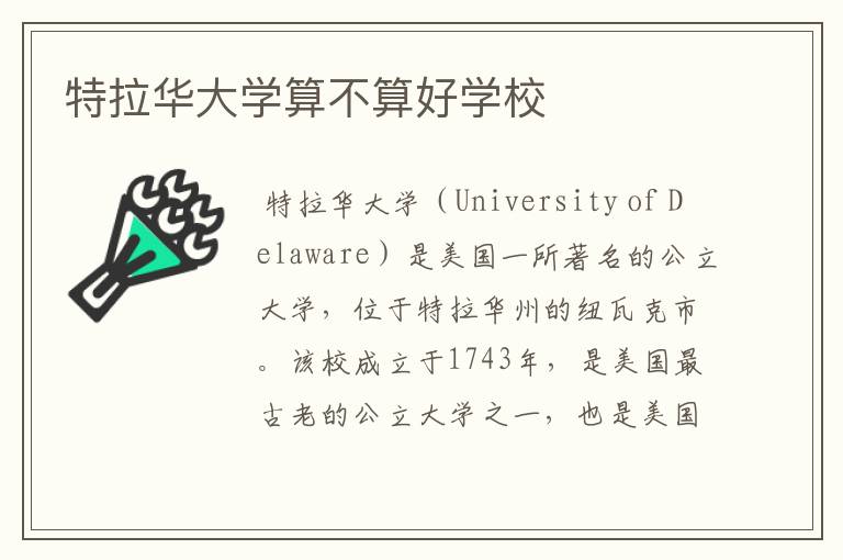 特拉华大学算不算好学校