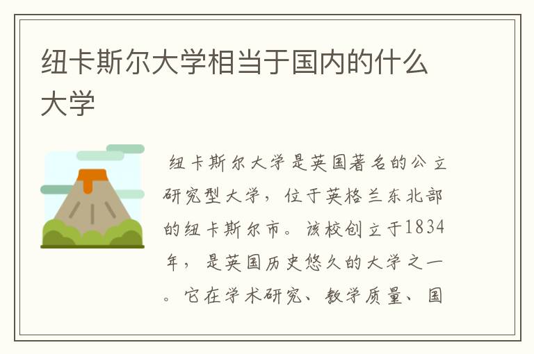 纽卡斯尔大学相当于国内的什么大学